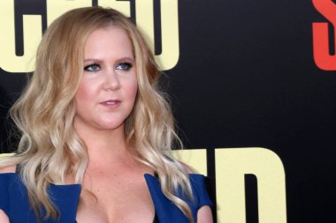 aktris Amy Schumer 