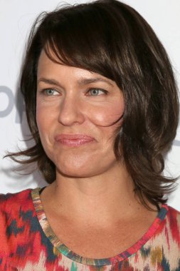 aktris Arianne Zucker