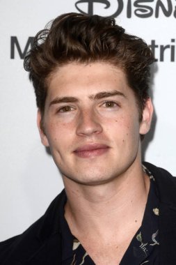 aktör Gregg Sulkin