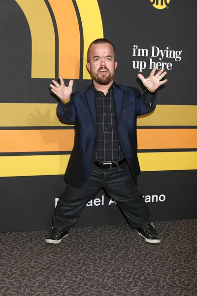 Attore Brad Williams — Foto Stock