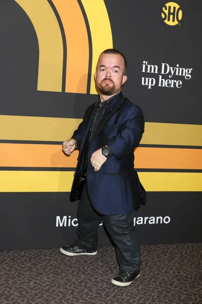 Acteur Brad Williams — Photo