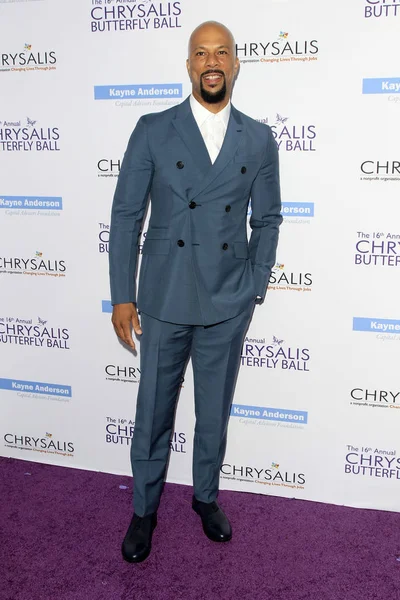 Common at the 16th Annual Chrysalis Butterfly Ball — Stock Photo, Image