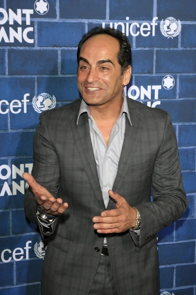 Agente Navid Negahban —  Fotos de Stock