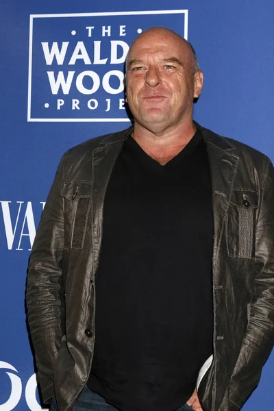 El actor Dean Norris — Foto de Stock