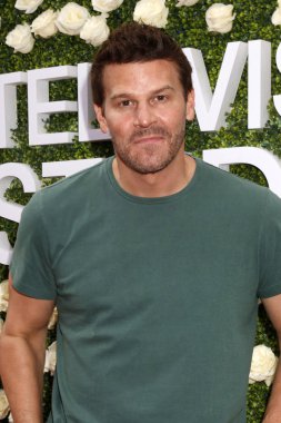 aktör David Boreanaz