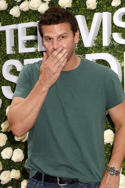 aktör David Boreanaz