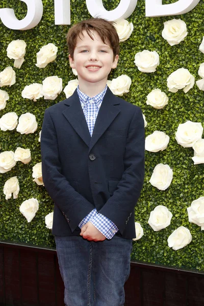 aktör Iain Armitage