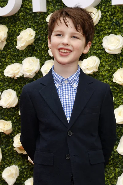 aktör Iain Armitage