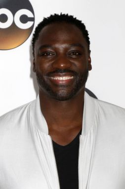  Adewale akinnuoye-agbaje 