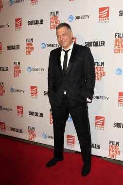 aktör Holt Mccallany