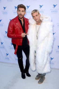 Aaron Carter, Adam Lambert 