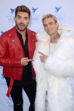 Aaron Carter, Adam Lambert 