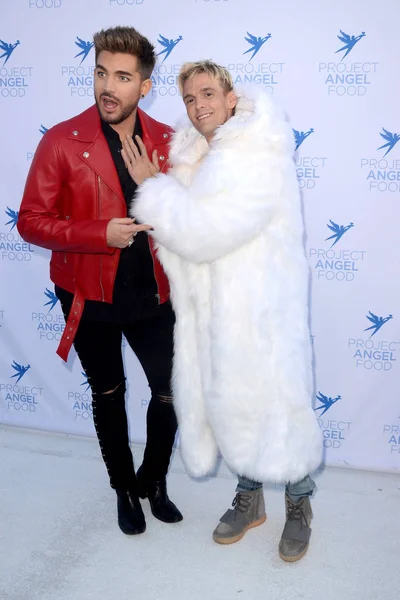 Aaron Carter, Adam Lambert 
