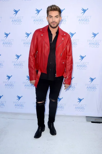 Singer Adam Lambert — Stock Photo, Image