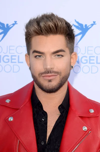 Şarkıcı Adam Lambert 