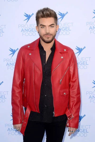 Sångaren Adam Lambert — Stockfoto