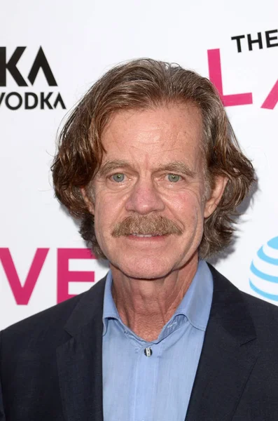 William H. Macy — Stock Photo, Image