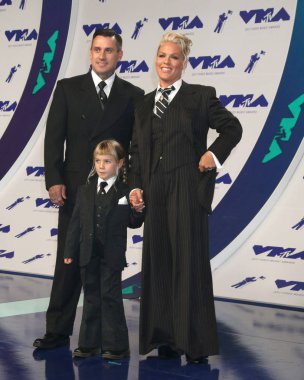  Carey harita, Willow adaçayı harita, pembe