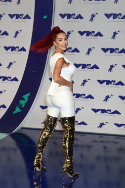 gerçeklik televizyon kişiliği Farrah Abraham