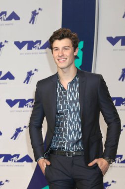 aktör Shawn Mendes