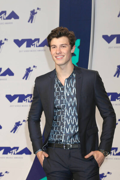 actor Shawn Mendes