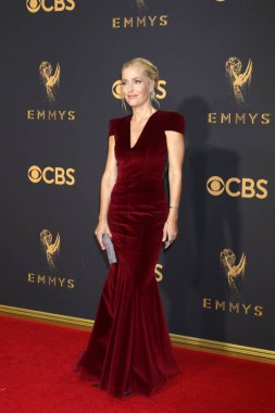 sinema oyuncusu gillian anderson