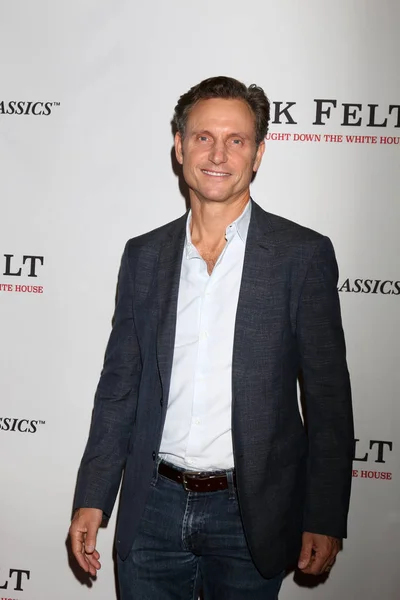 Actor Tony Goldwyn —  Fotos de Stock