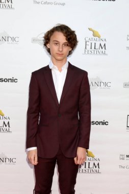 aktör Wyatt Oleff 