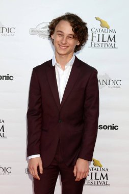aktör Wyatt Oleff 