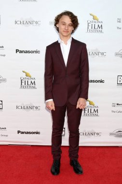 aktör Wyatt Oleff 