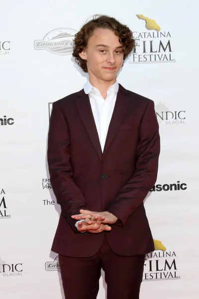 Acteur Wyatt Oleff — Stockfoto