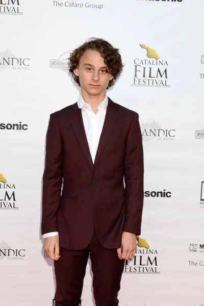 Schauspieler wyatt oleff — Stockfoto