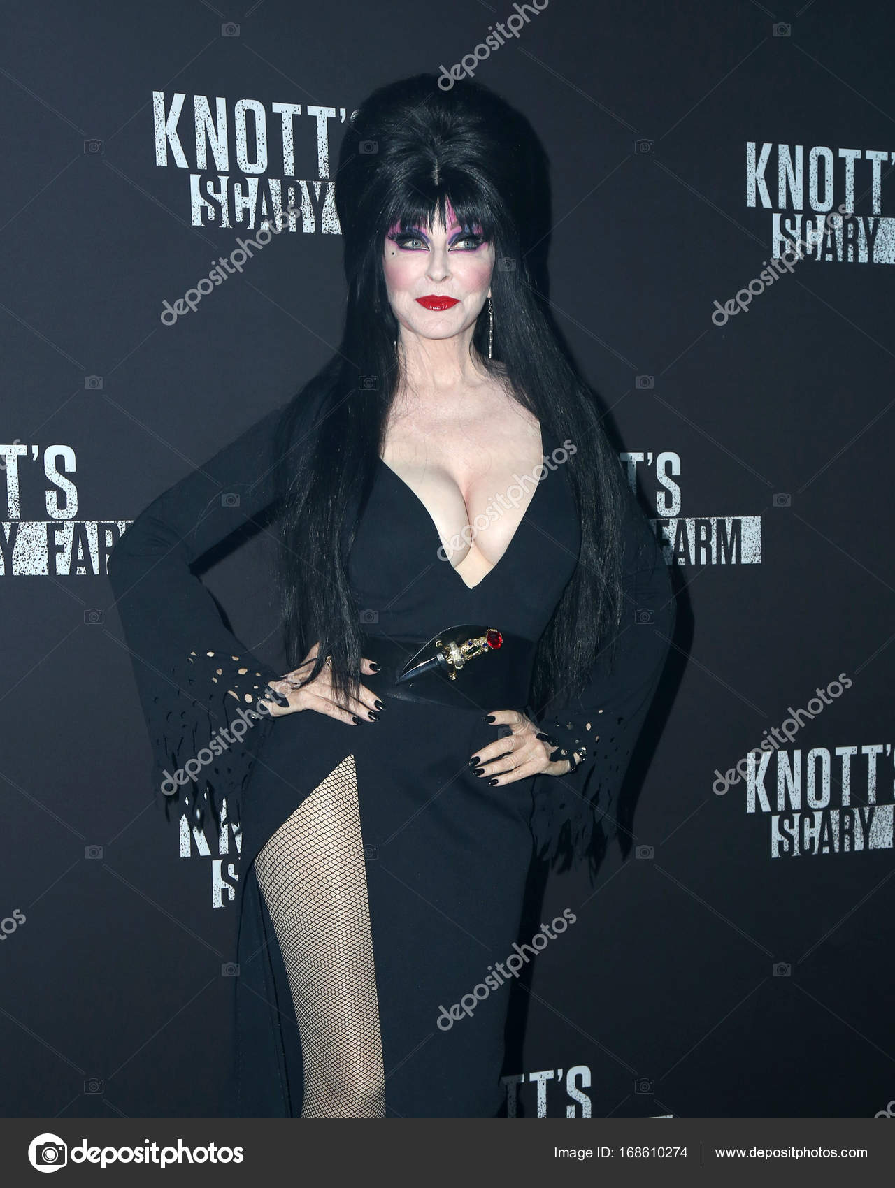 Cassandra Peterson Elvira Stock Editorial Photo C Jean Nelson