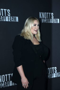 aktris Hayley Hasselhoff 
