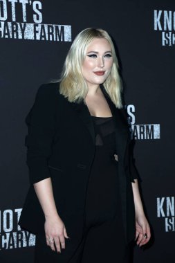 aktris Hayley Hasselhoff 