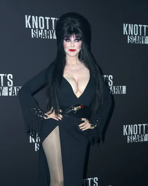 Cassandra Peterson, Elvira — Foto de Stock