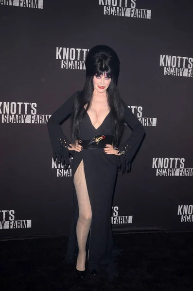 Cassandra Peterson, Elvira — Foto de Stock