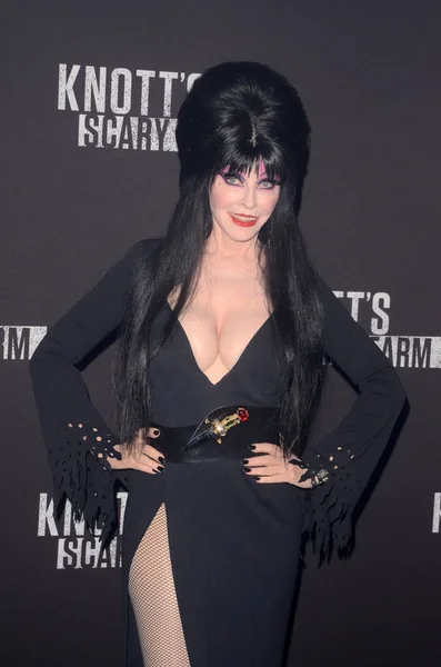 Cassandra Peterson, Elvira — Zdjęcie stockowe