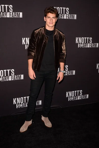 Aktör Gregg Sulkin — Stok fotoğraf