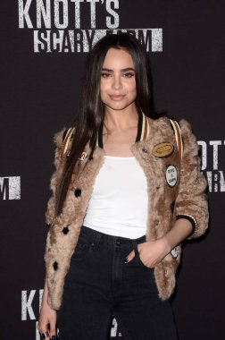 oyuncu Sofia Carson