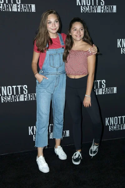 Maddie Ziegler, Mackenzie Ziegler — Stock Fotó