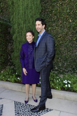  Gail Abarbanel, David Schwrimmer 