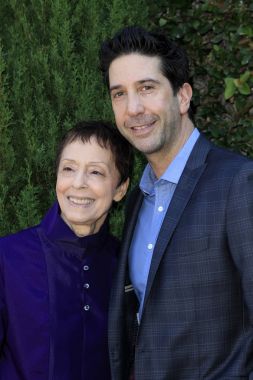  Gail Abarbanel, David Schwrimmer 