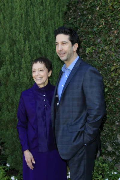 Gail Abarbanel, David Schwrimmer — Foto Stock