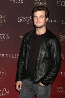 aktör Beau Mirchoff 