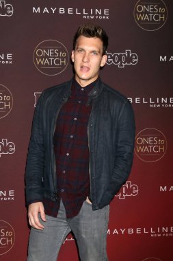 Scott michael teşvik