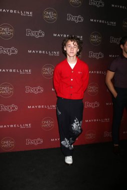  aktör Wyatt Oleff