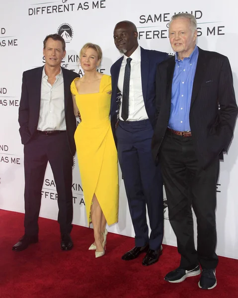 Greg Kinnear, Renee Zellweger, Djimon Hounsou, Jon Voight 