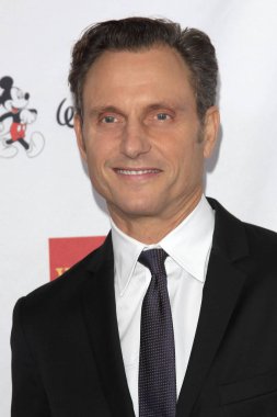 Aktör Tony Goldwyn 