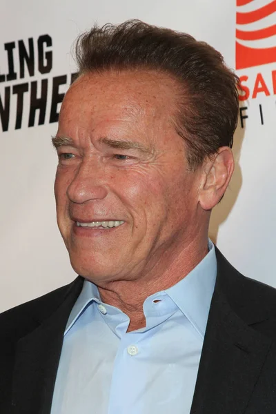 Actor Arnold Schwarzenegger — Stock Photo, Image